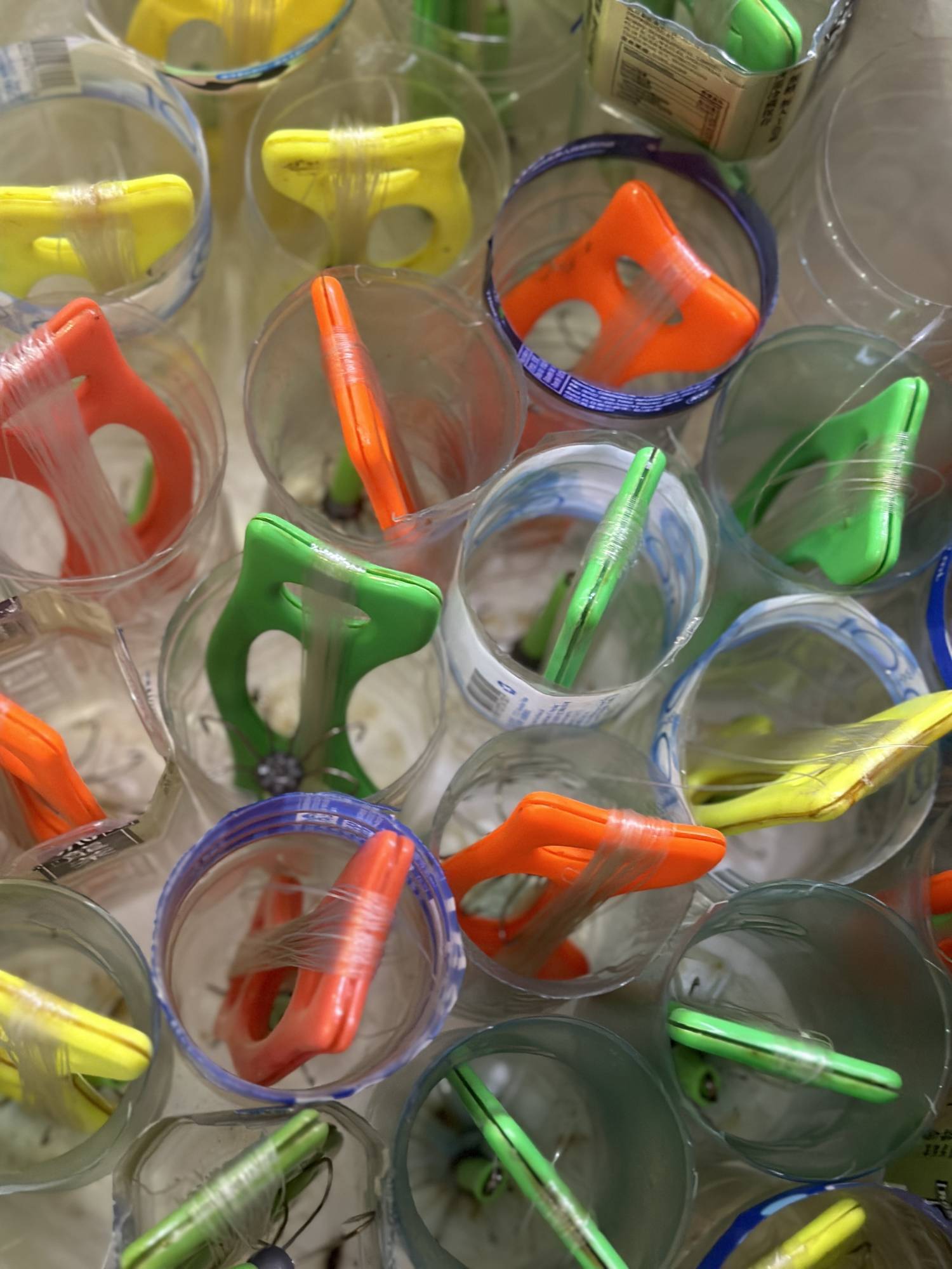 Holimood HK 【中環/觀塘】維港夜遊x夜釣墨魚團｜西式遊艇｜無限暢享小食飲品｜專業領隊 2026 10