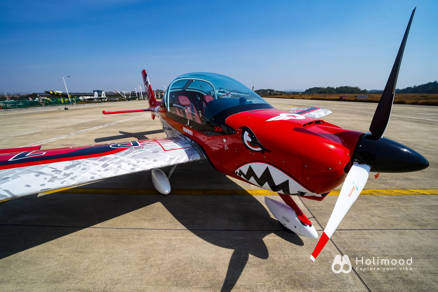 Monster Joker 【空中體驗遊】珠海飛機飛行體驗+飛行證書 6