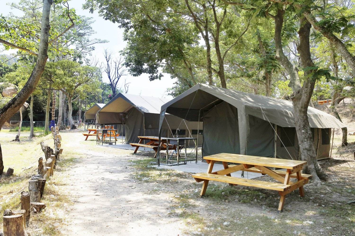 長洲西園露營歷奇園地 - 四大主題營區、豪華露營體驗、專業歷奇活動 【原野風情】加大南非營 (冷氣4-6人)｜長洲西園 3