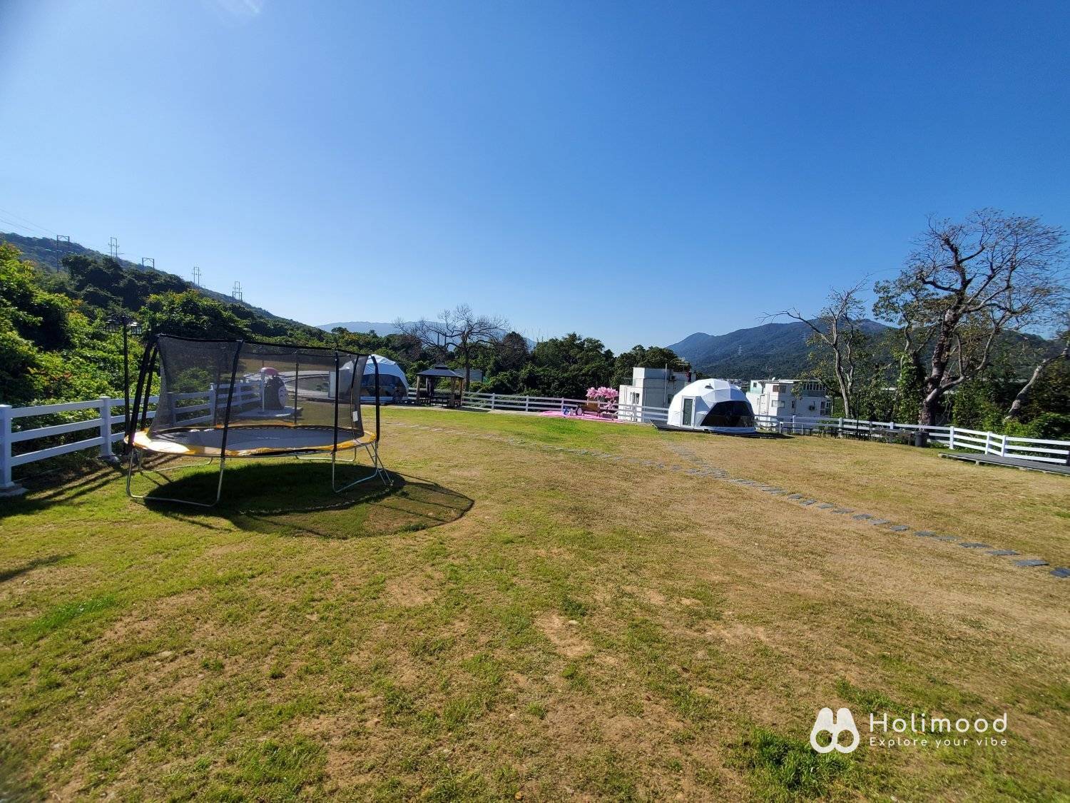 Xtivity 【貓巴士主題】任你玩2日1夜露營+派對｜寵物友善｜親子好去處｜包場派對 36