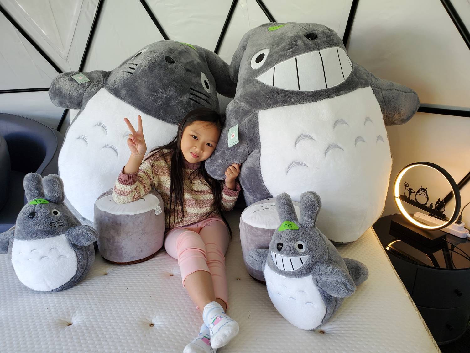 Xtivity 【貓巴士主題】任你玩日營+派對｜寵物友善｜親子好去處｜包場派對 21