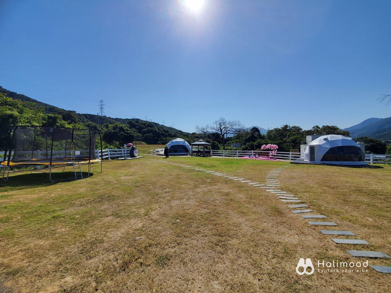 Xtivity 【貓巴士主題】任你玩2日1夜露營+派對｜寵物友善｜親子好去處｜包場派對 37