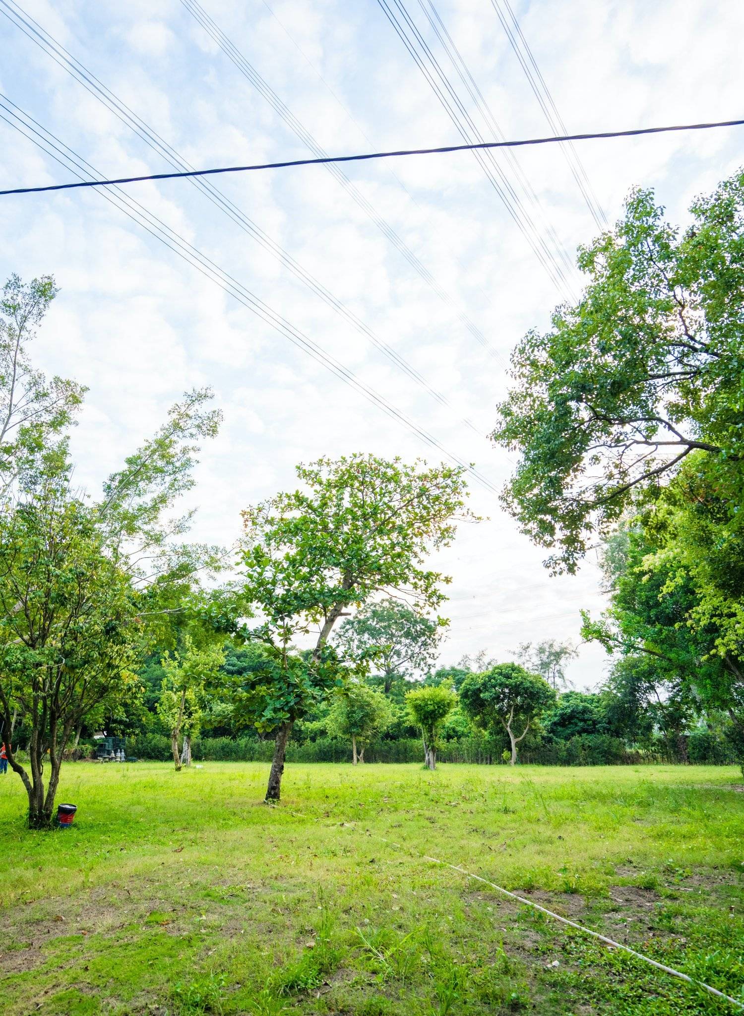 山林里農莊Forest Pathway | 錦田露營·寵物友善營區·巴士露營體驗 山林里農莊 (自攜營帳/租用營帳) 20