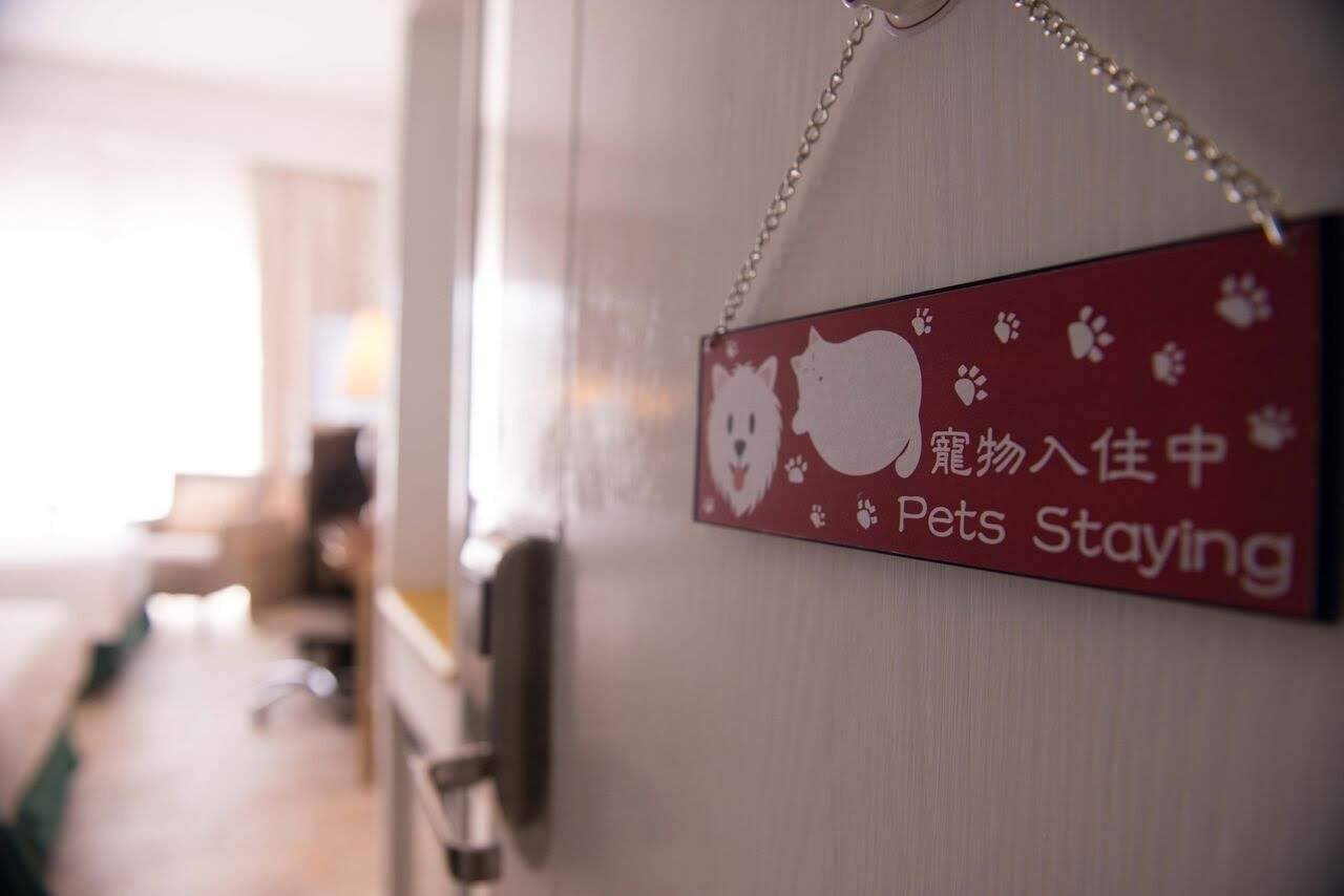 銀鑛灣渡假酒店 - 寵物住宿餐飲套票 & 梅窩海邊酒店 【 寵物住宿連餐飲套票】 雙人寵物客房 + 豐富雙人早餐 + 晚餐套餐 + 寵物小食 + 寵物晚餐｜銀鑛灣渡假酒店 4