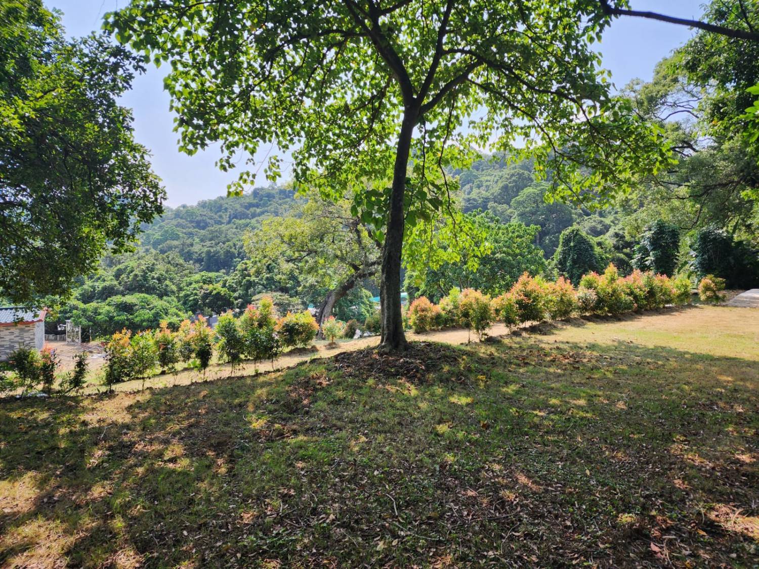 營喜野外露營場地 【深山系野外營區】自攜營帳體驗 - Zone B 莊園區 5