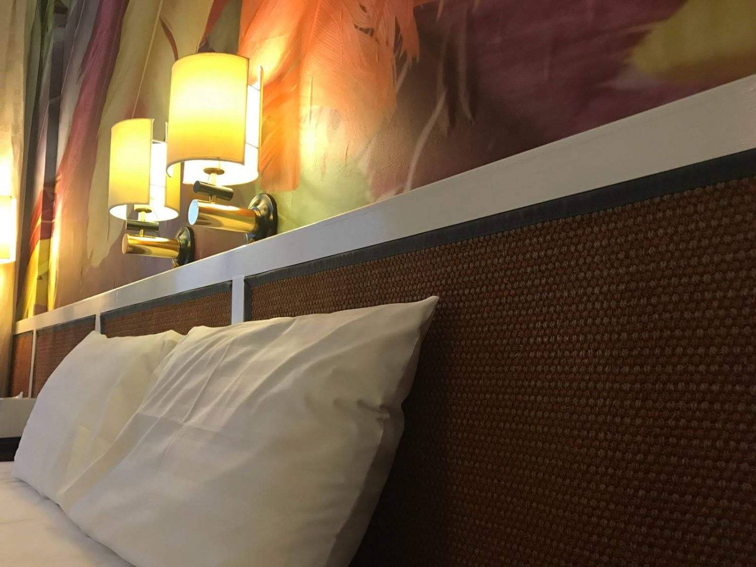 銀鑛灣渡假酒店 - 寵物住宿餐飲套票 & 梅窩海邊酒店 【 寵物住宿連餐飲套票】 雙人寵物客房 + 豐富雙人早餐 + 晚餐套餐 + 寵物小食 + 寵物晚餐｜銀鑛灣渡假酒店 5