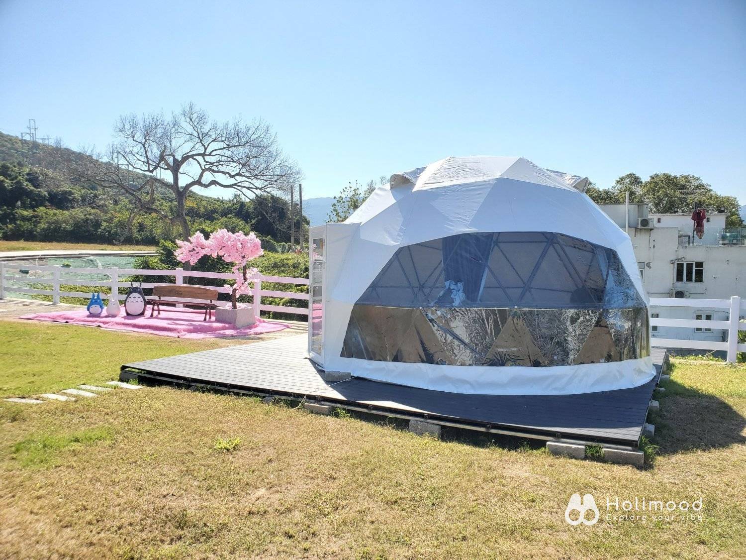 Xtivity 【貓巴士主題】任你玩2日1夜露營+派對｜寵物友善｜親子好去處｜包場派對 10