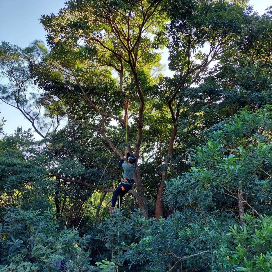 Rope3Style 【馬鞍山 - 全港唯一穿越山谷百米】飛索秘境之旅 7