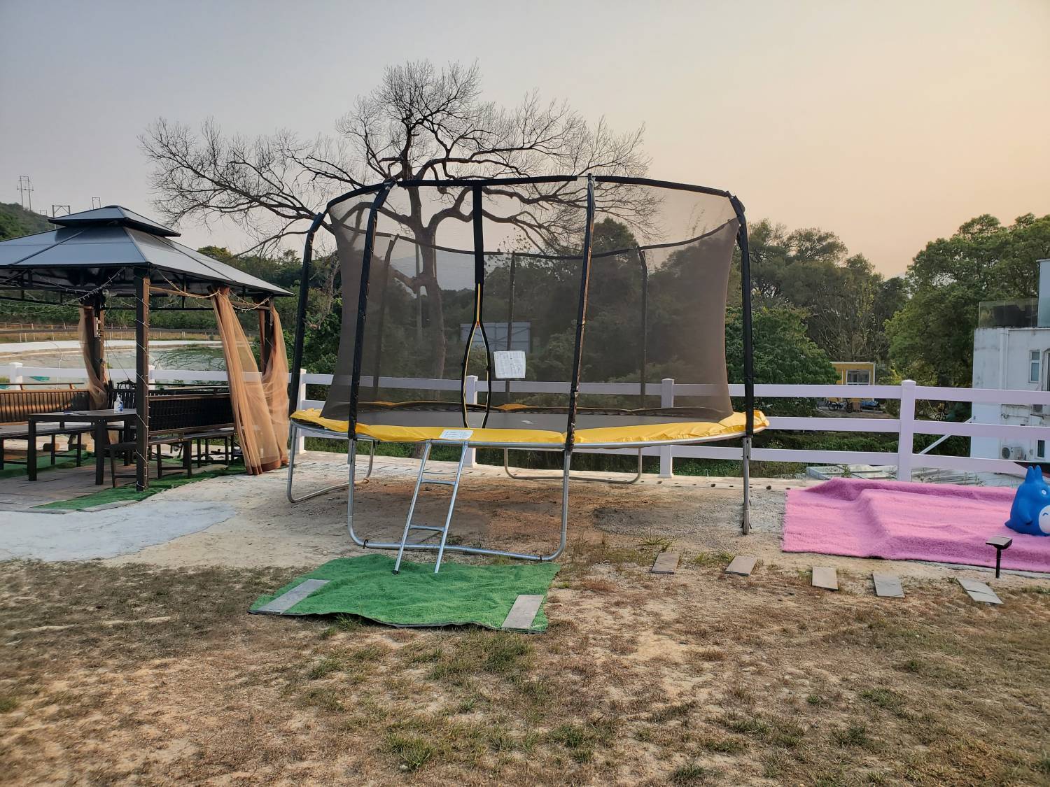 Xtivity 【貓巴士主題】任你玩日營+派對｜寵物友善｜親子好去處｜包場派對 9