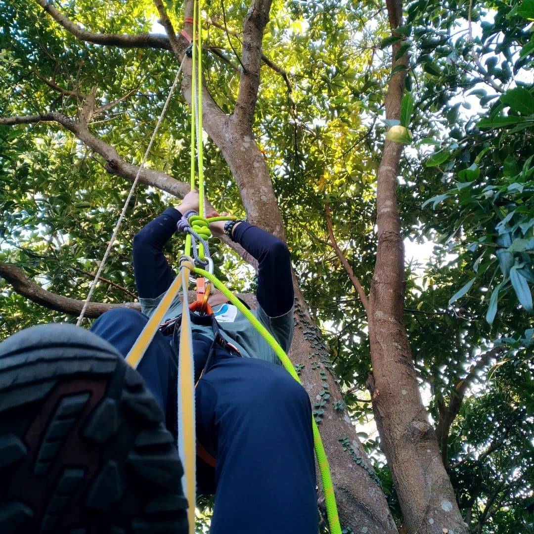 Rope3Style 【馬鞍山 - 全港唯一穿越山谷百米】飛索秘境之旅 8