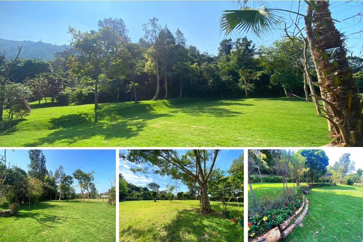 山林里農莊Forest Pathway | 錦田露營·寵物友善營區·巴士露營體驗 山林里農莊 (自攜營帳/租用營帳) 1
