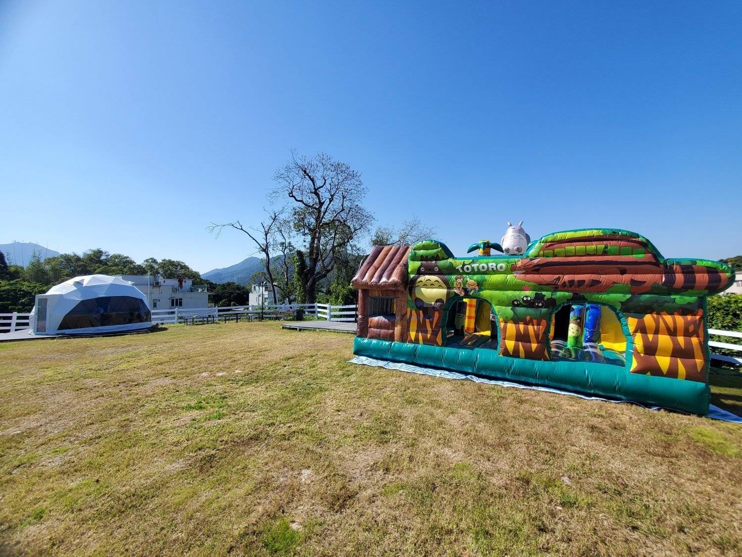 Xtivity 【貓巴士主題】任你玩日營+派對｜寵物友善｜親子好去處｜包場派對 1