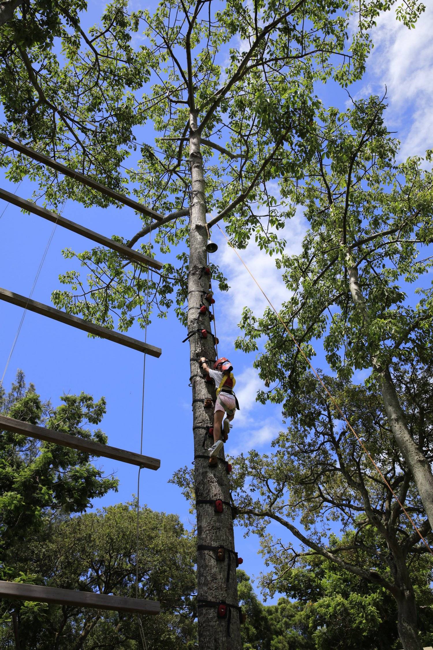 長洲西園露營歷奇園地 - 四大主題營區、豪華露營體驗、專業歷奇活動 【悠閒露營區】自攜營帳野營樂 (2人)｜長洲西園 9