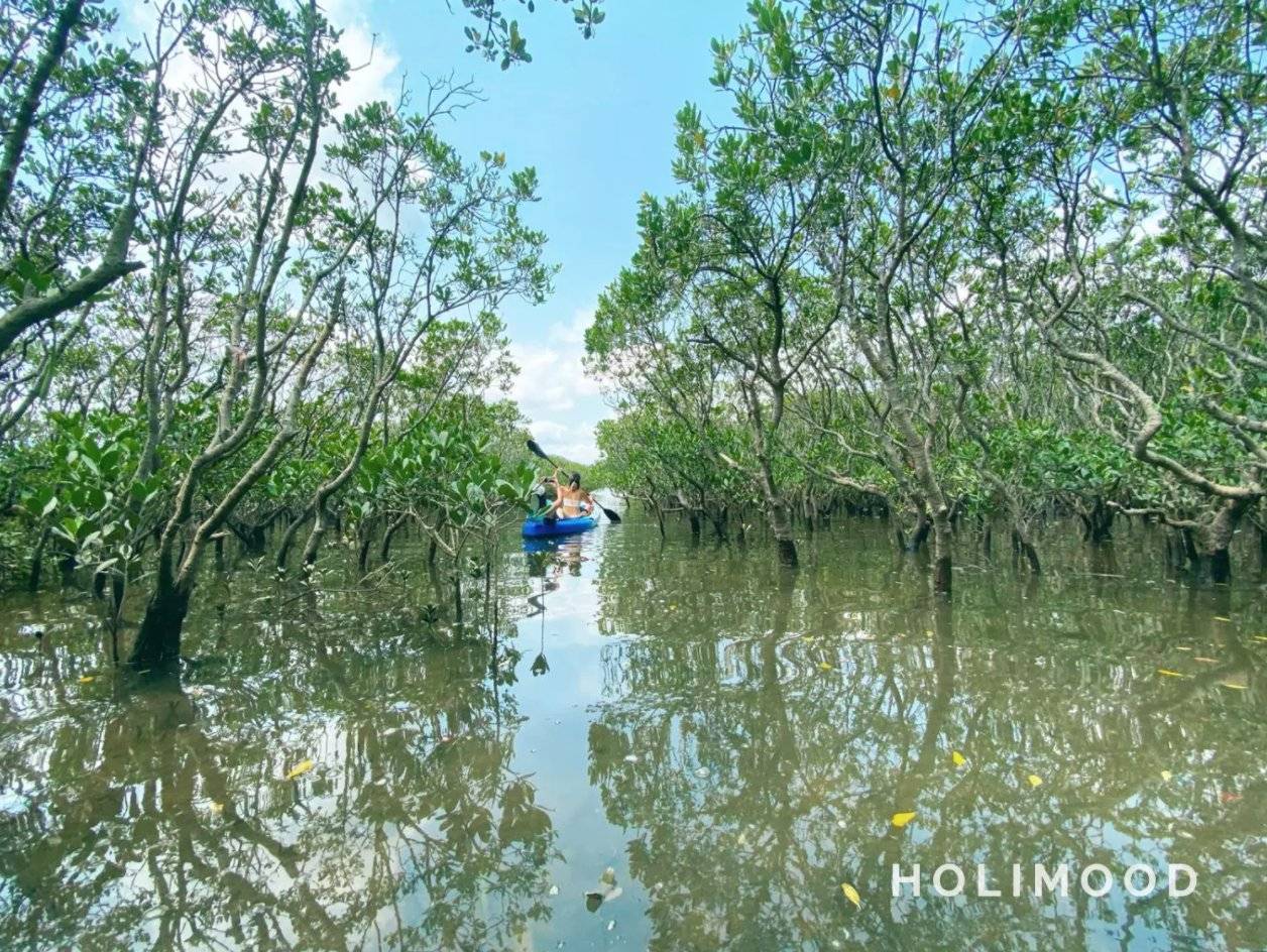 Supway_naturehk 【一人成團】大埔汀三角獨木舟導賞團｜探索紅樹林+三門仔+馬屎洲 4