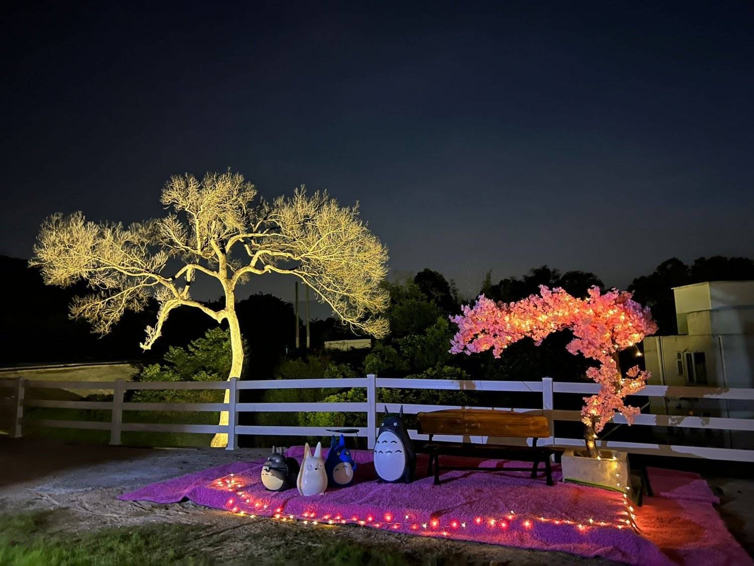 Xtivity 【貓巴士主題】任你玩日營+派對｜寵物友善｜親子好去處｜包場派對 34