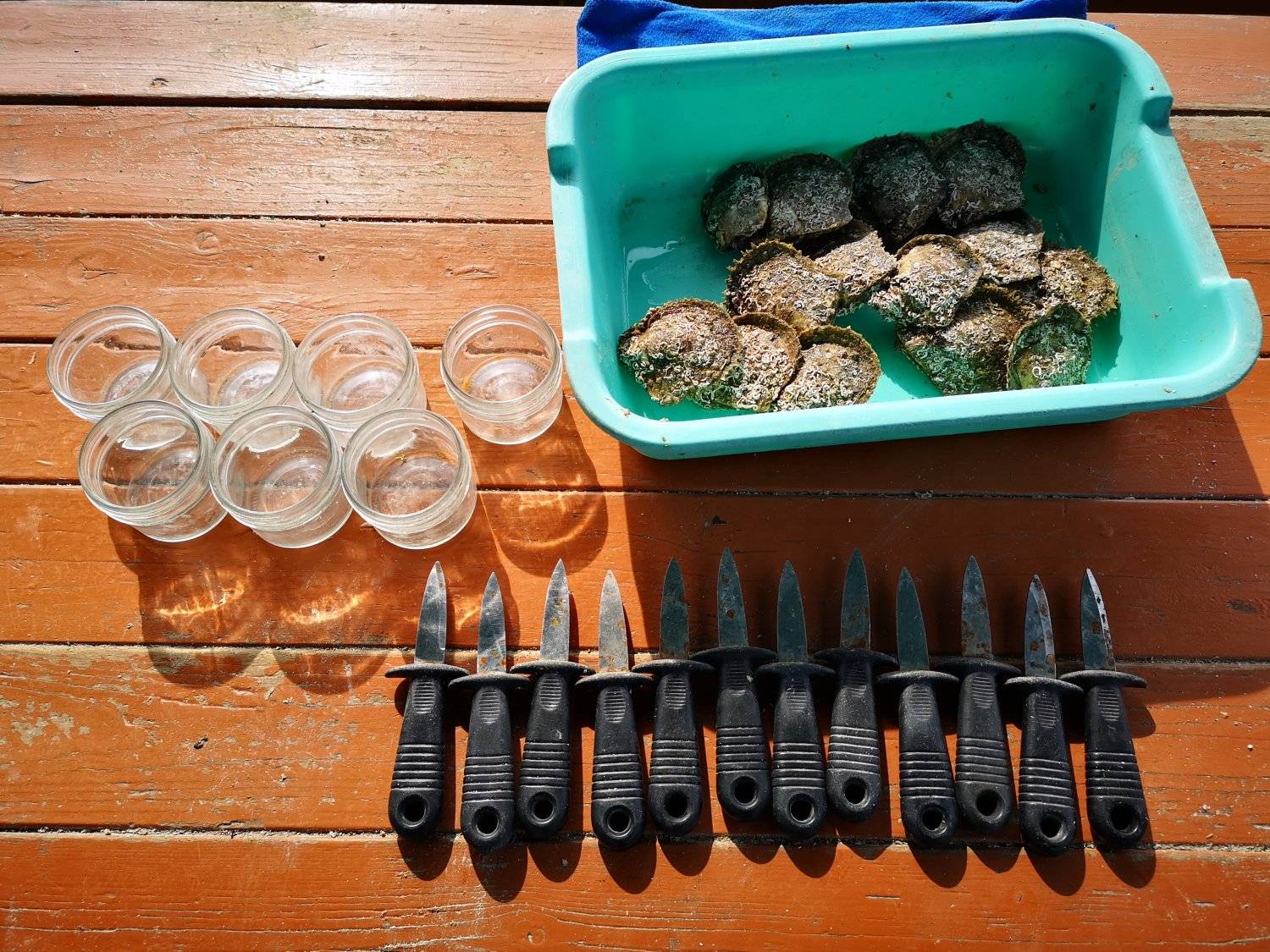 有機養殖HKOMD 全港唯一西貢珍珠導賞團-珍珠首飾工作坊 7