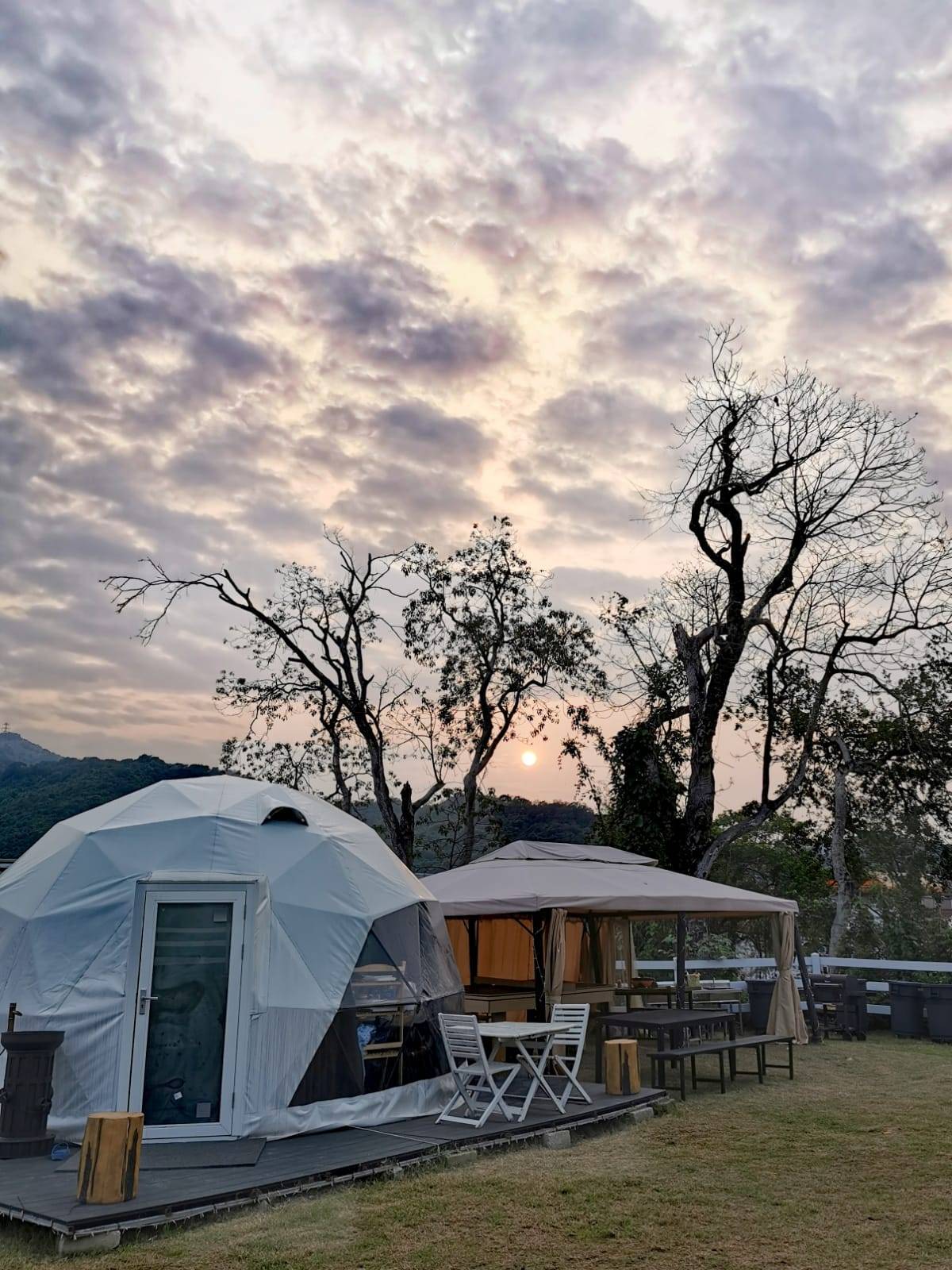 Xtivity 【貓巴士主題】任你玩日營+派對｜寵物友善｜親子好去處｜包場派對 17