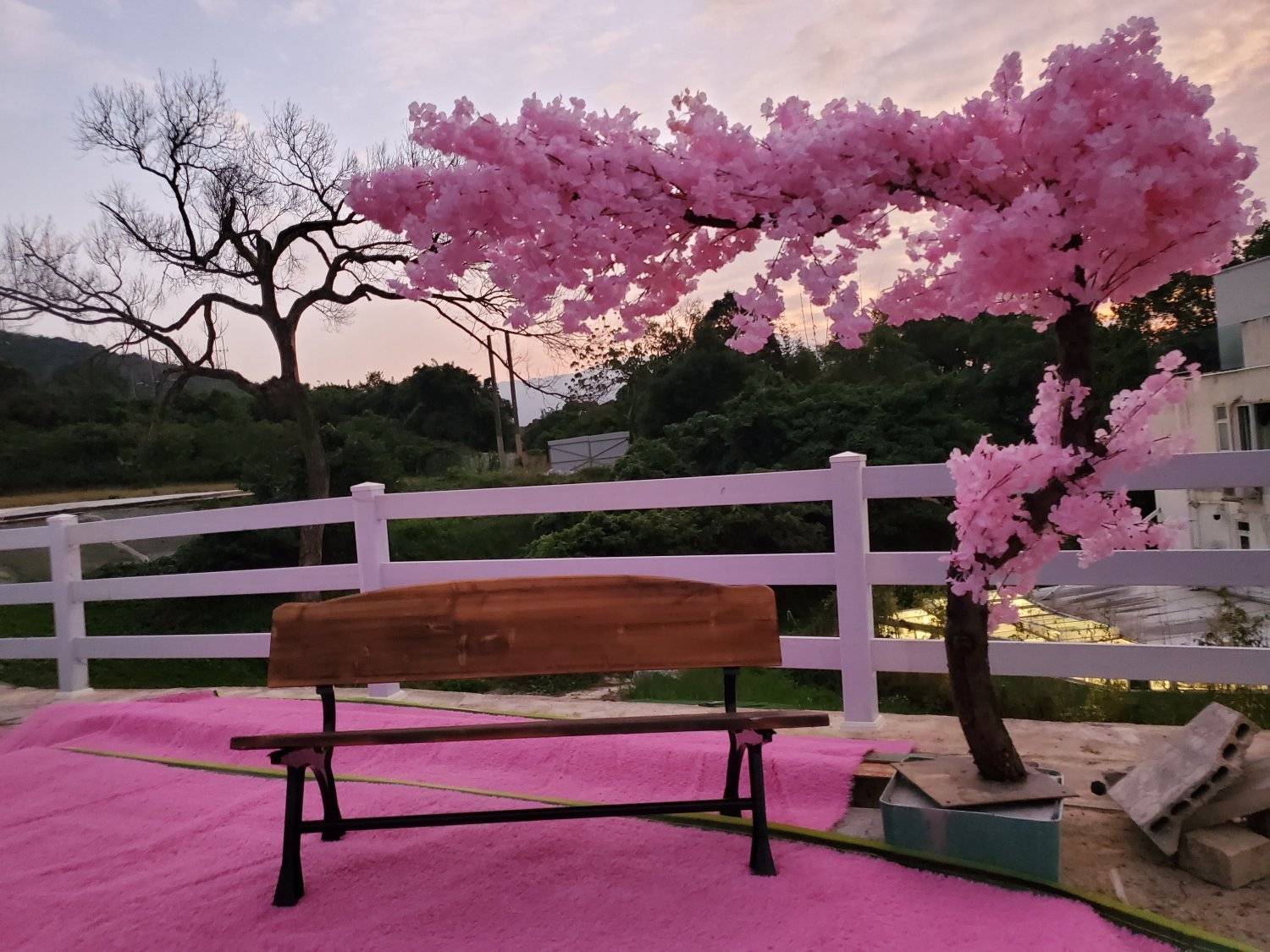 Xtivity 【貓巴士主題】任你玩日營+派對｜寵物友善｜親子好去處｜包場派對 29