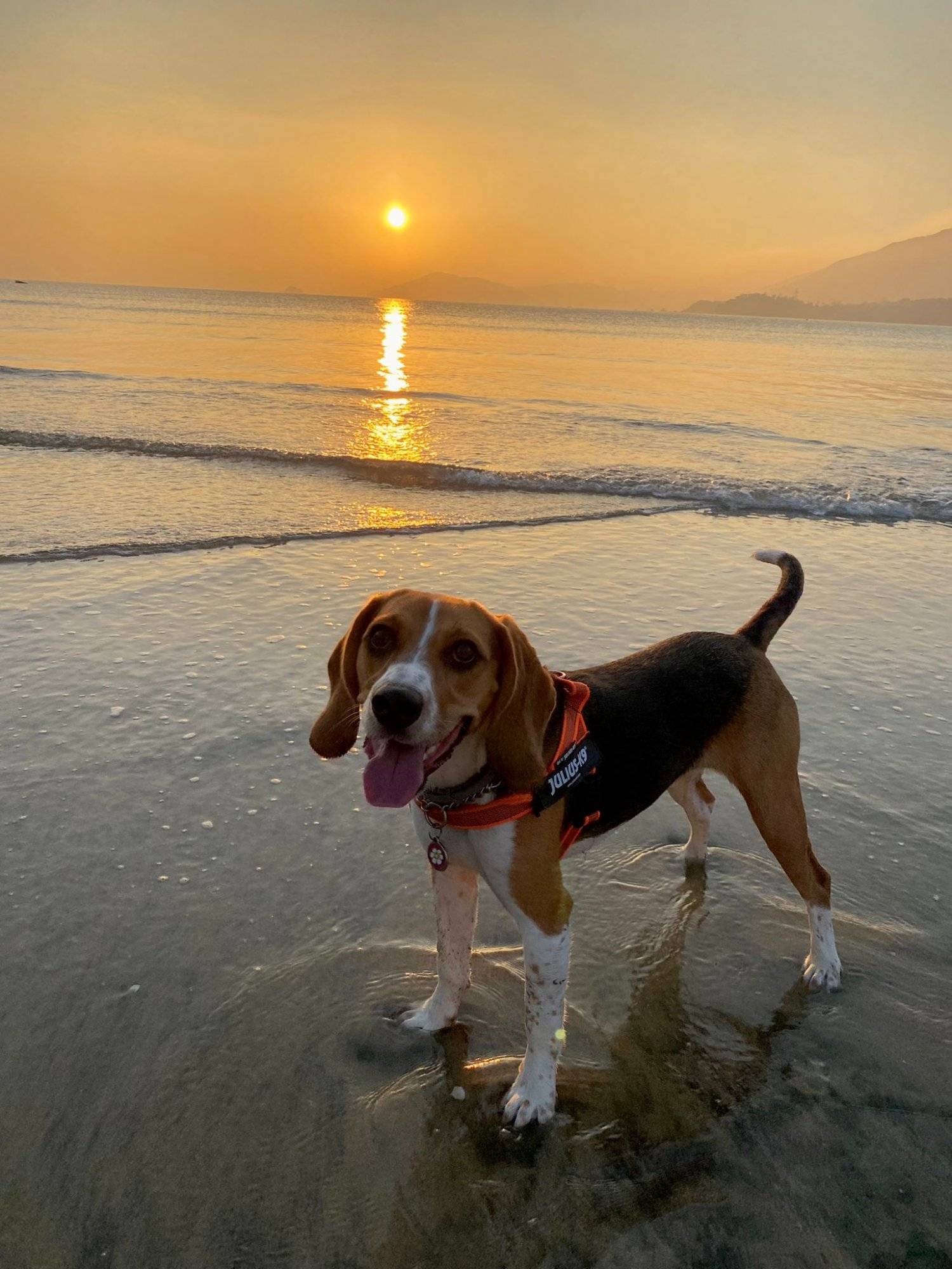 浪高長岸 - 大嶼山長沙沙灘水上活動及Glamping體驗 【浪高長岸】水上活動券連豪華印第安營體驗 (4-6人) 25