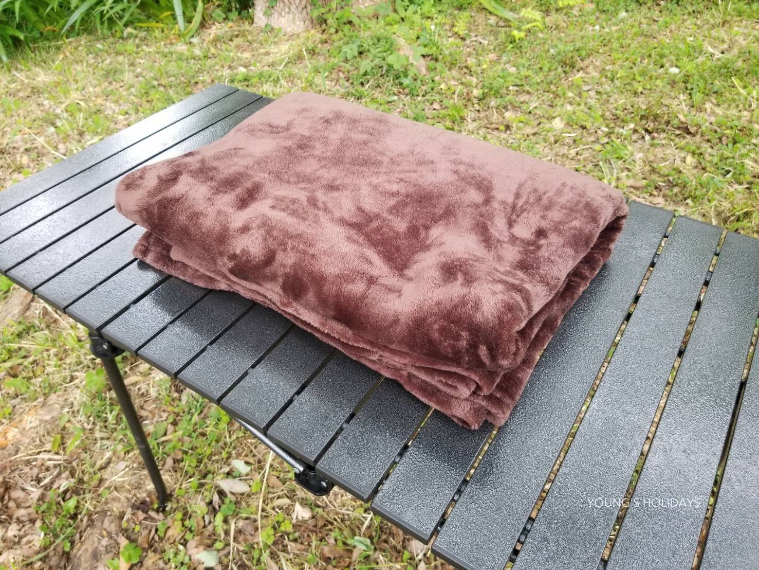 Youngs Holiday 悠揚假期 - 潛水旅遊、自駕遊、日本露營車 【北海道】六人日本露營車24小時租用體驗(JSM-Breeze) 21