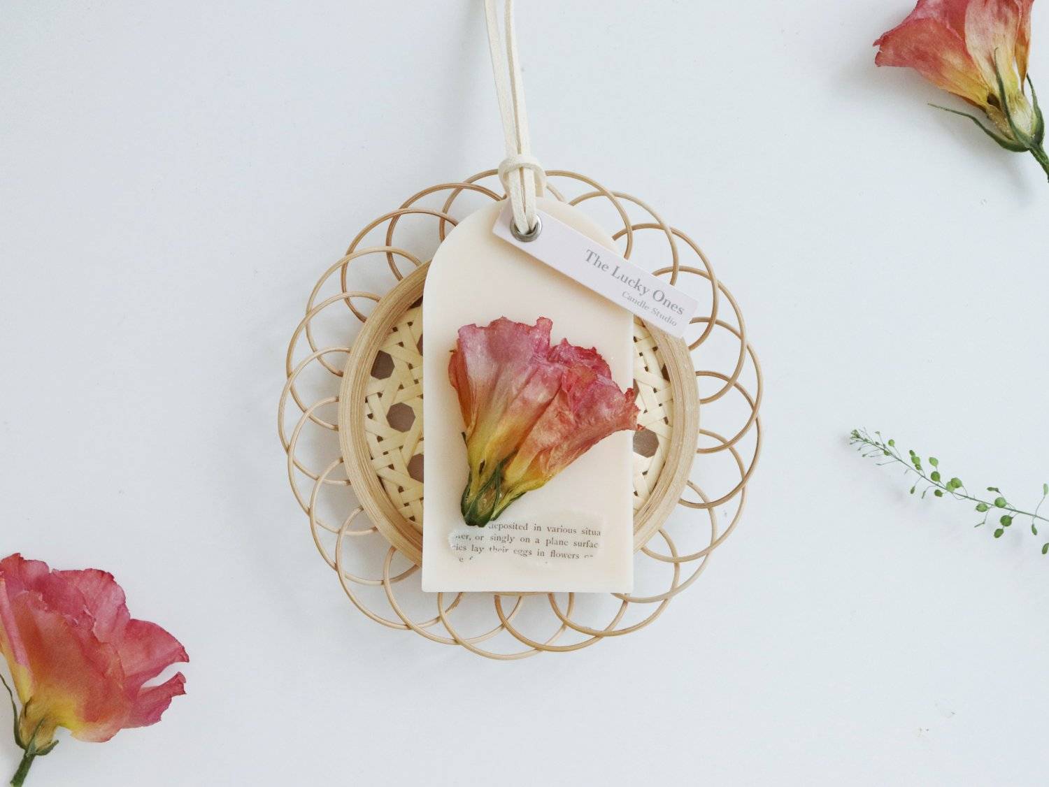 The Lucky Ones Candle Studio 蠟燭證書班及工作坊 【花園森林系】草本花園蠟燭工作坊 2