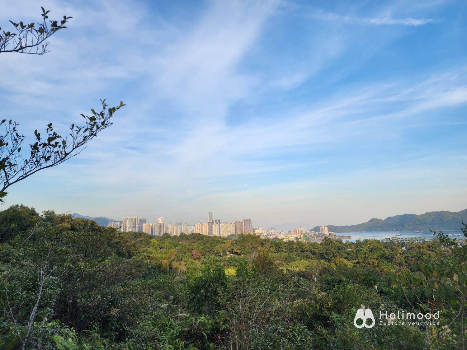 營喜野外露營場地 【深山系野外營區】自攜營帳體驗 - Zone A 野營區 (可自費攜帶寵物及進行營火體驗) 8