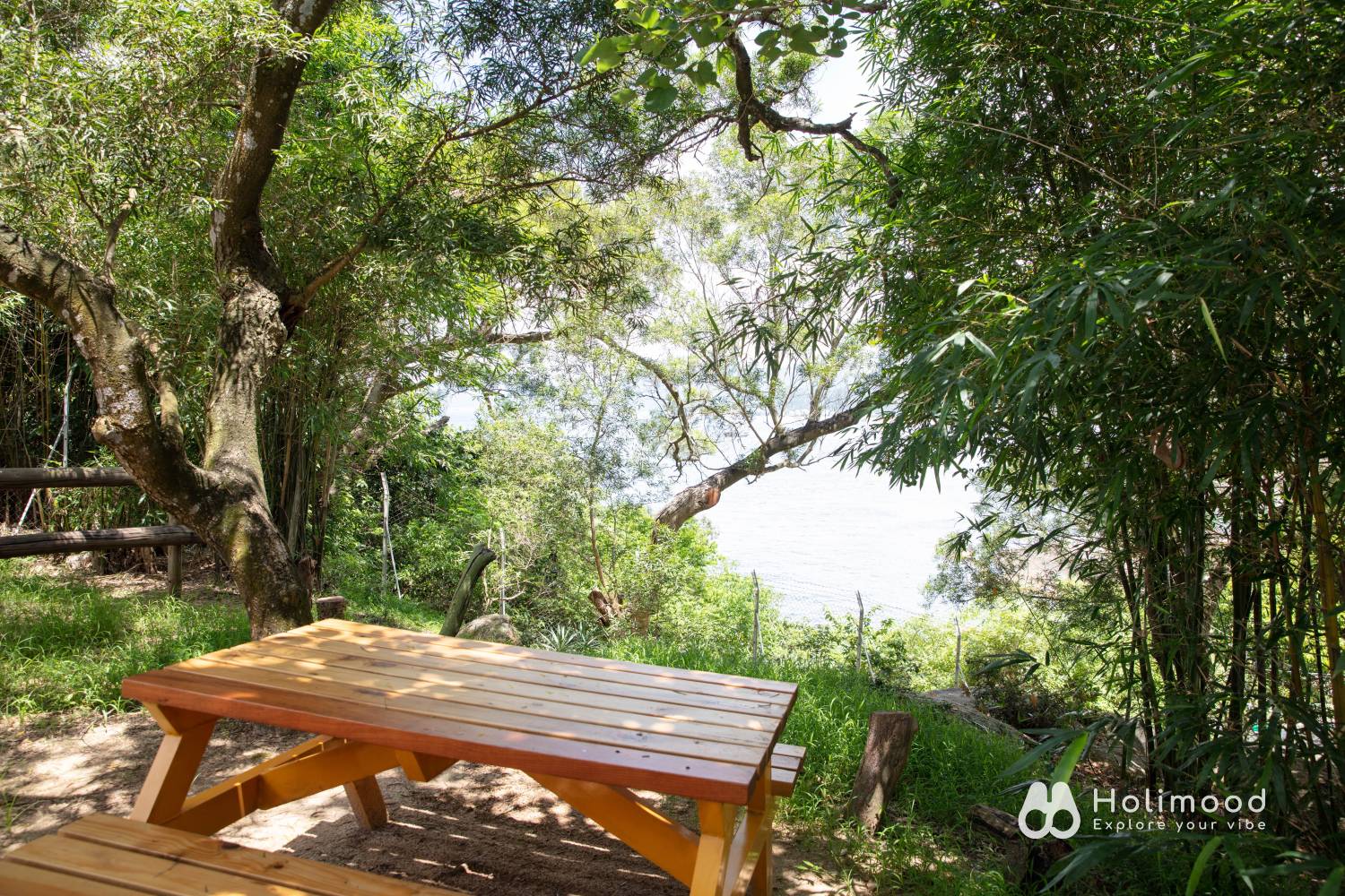長洲西園露營歷奇園地 - 四大主題營區、豪華露營體驗、專業歷奇活動 【顯赫舒適】圓拱屋(4人)｜長洲西園 6