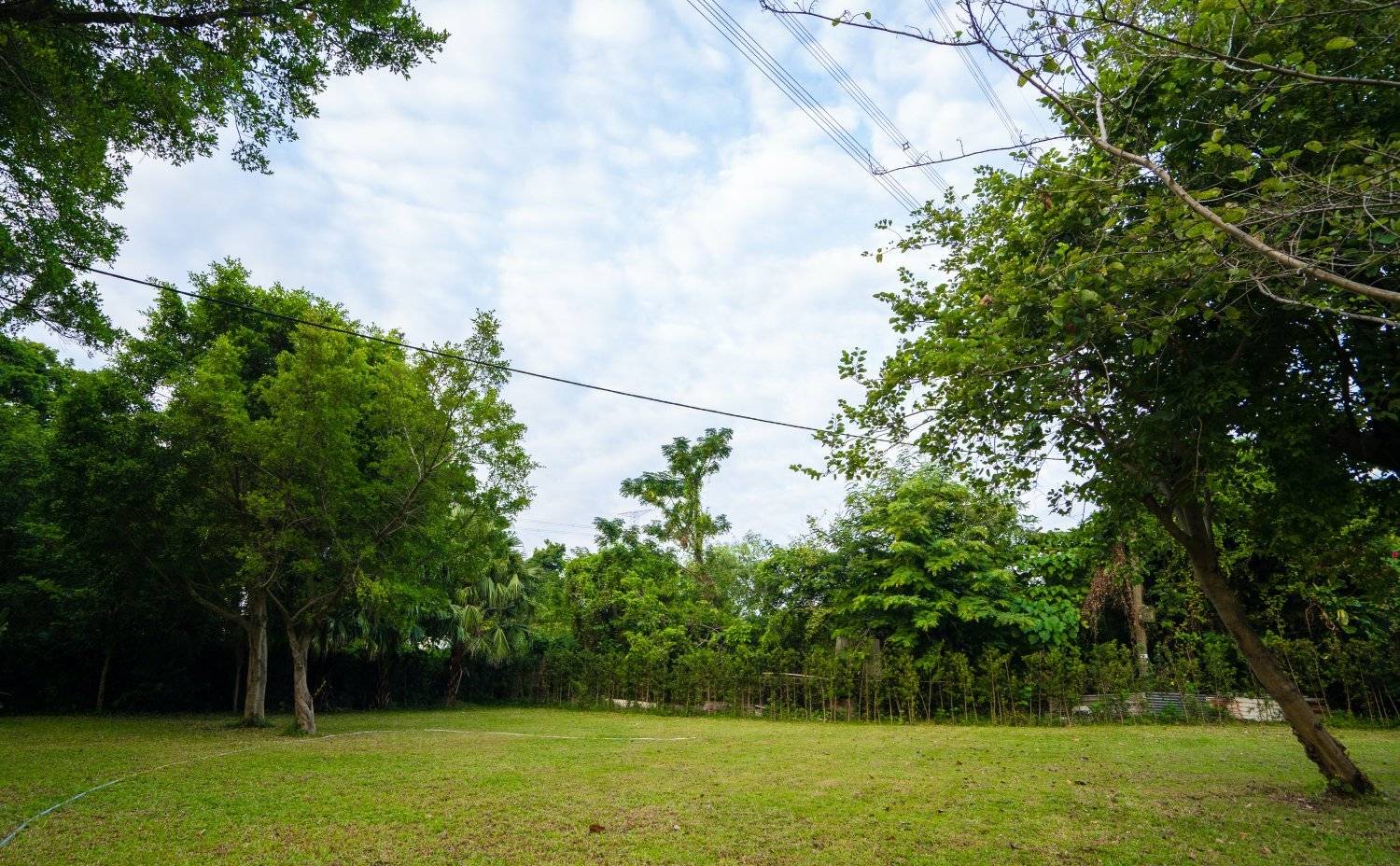 山林里農莊Forest Pathway | 錦田露營·寵物友善營區·巴士露營體驗 山林里農莊 (自攜營帳/租用營帳) 11