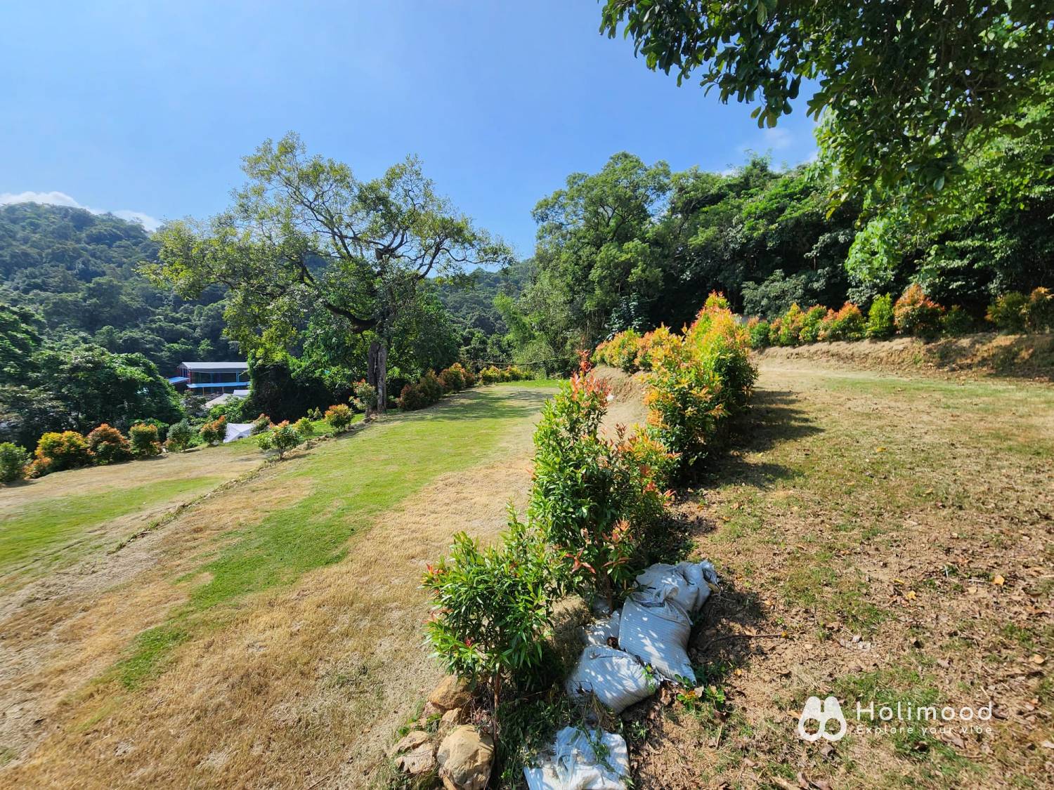 營喜野外露營場地 【深山系野外營區】自攜營帳體驗 - Zone B 莊園區 2