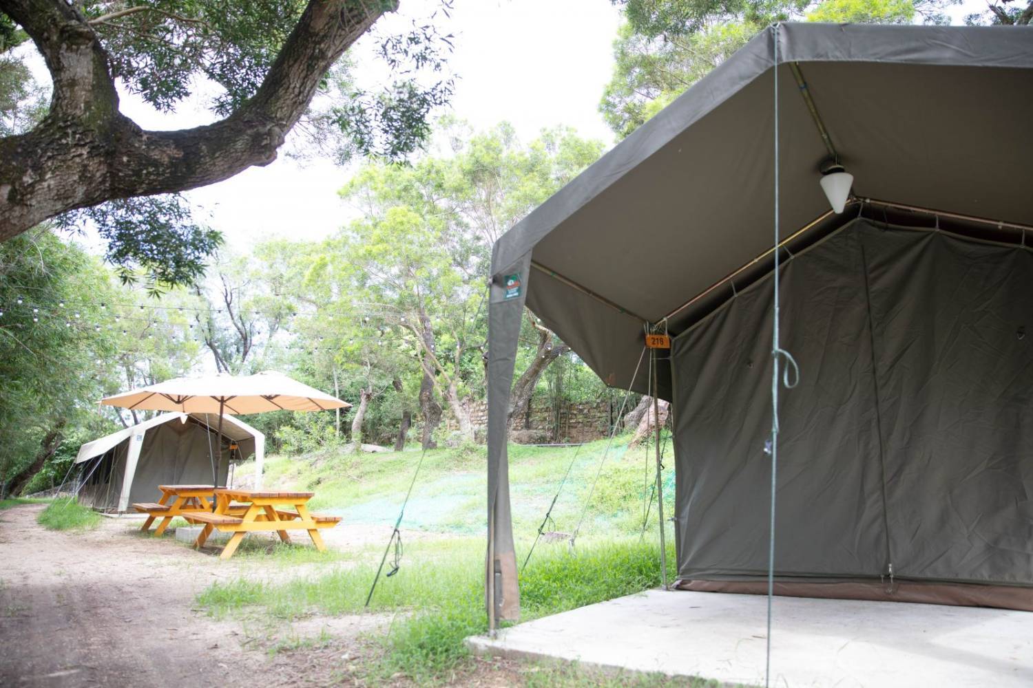 長洲西園露營歷奇園地 - 四大主題營區、豪華露營體驗、專業歷奇活動 【原野風情】南非雙子營 (冷氣4-8人)｜長洲西園 3