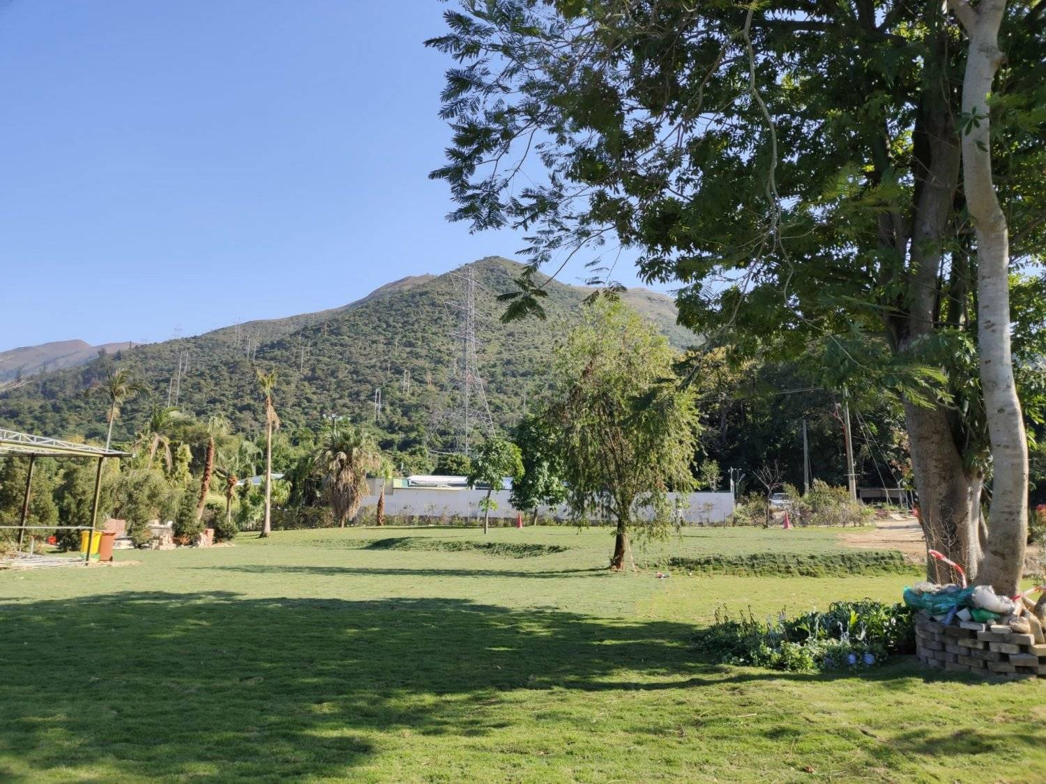 Forest Valley Land Forest Valley Car Camping/Camping (Bring Your Own Tent/Rent a Tent) 2