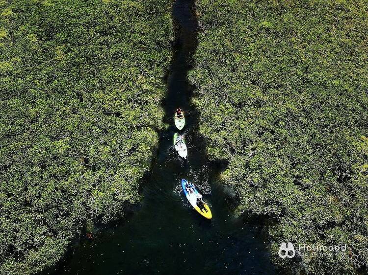 Supway_naturehk 【一人成團】大埔汀三角獨木舟導賞團｜探索紅樹林+三門仔+馬屎洲 1