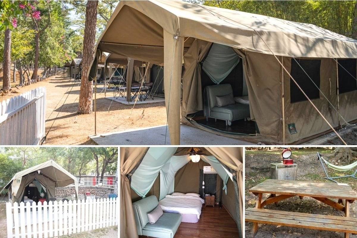 長洲西園露營歷奇園地 - 四大主題營區、豪華露營體驗、專業歷奇活動 【專屬草地平台】「巴拉」南非營(2-3人)｜長洲西園 7