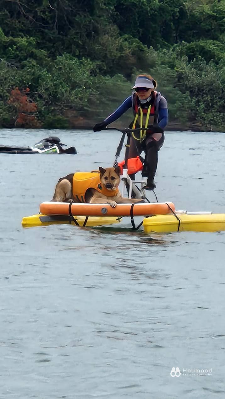 EFoil HK 西貢非電動水上單車體驗｜探索香港「亞馬遜」紅樹林秘境｜新手免濕身之選 1