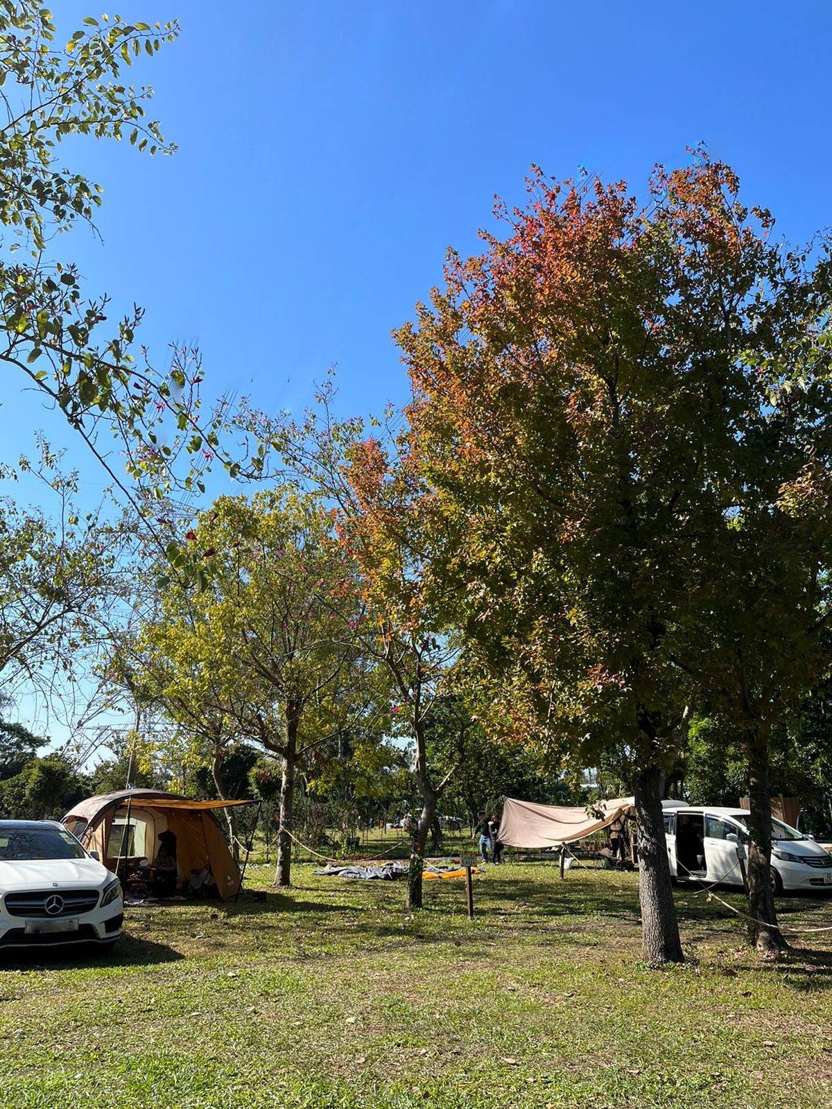 山林里農莊Forest Pathway | 錦田露營·寵物友善營區·巴士露營體驗 山林里農莊 (自攜營帳/租用營帳) 4
