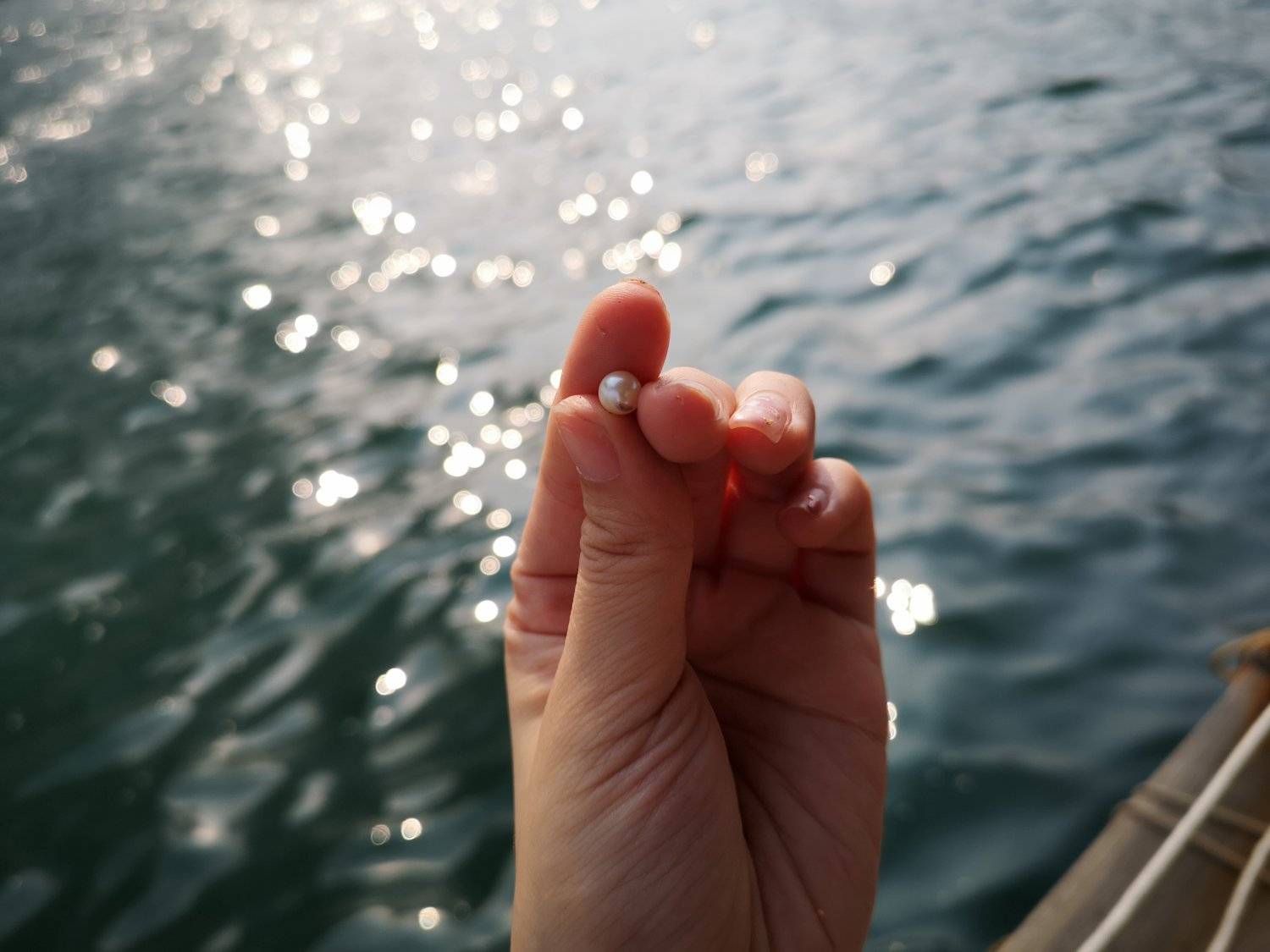 有機養殖HKOMD 全港唯一西貢珍珠導賞團-珍珠首飾工作坊 12