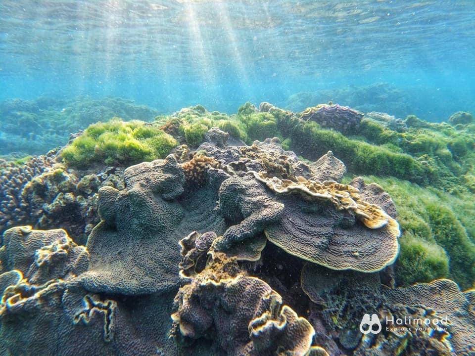 樂浪遊艇 澎湖秘境探索3.5小時｜48呎雙體遊艇｜澎湖亞果遊艇碼頭 8