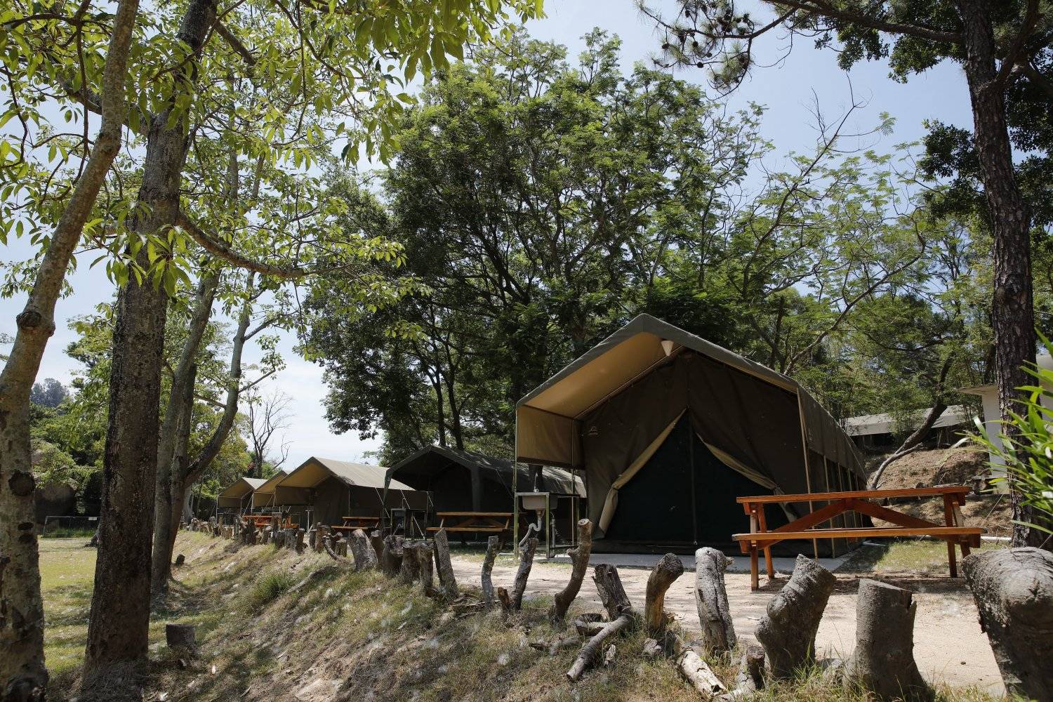 長洲西園露營歷奇園地 - 四大主題營區、豪華露營體驗、專業歷奇活動 【原野風情】加大南非營 (冷氣4-6人)｜長洲西園 4