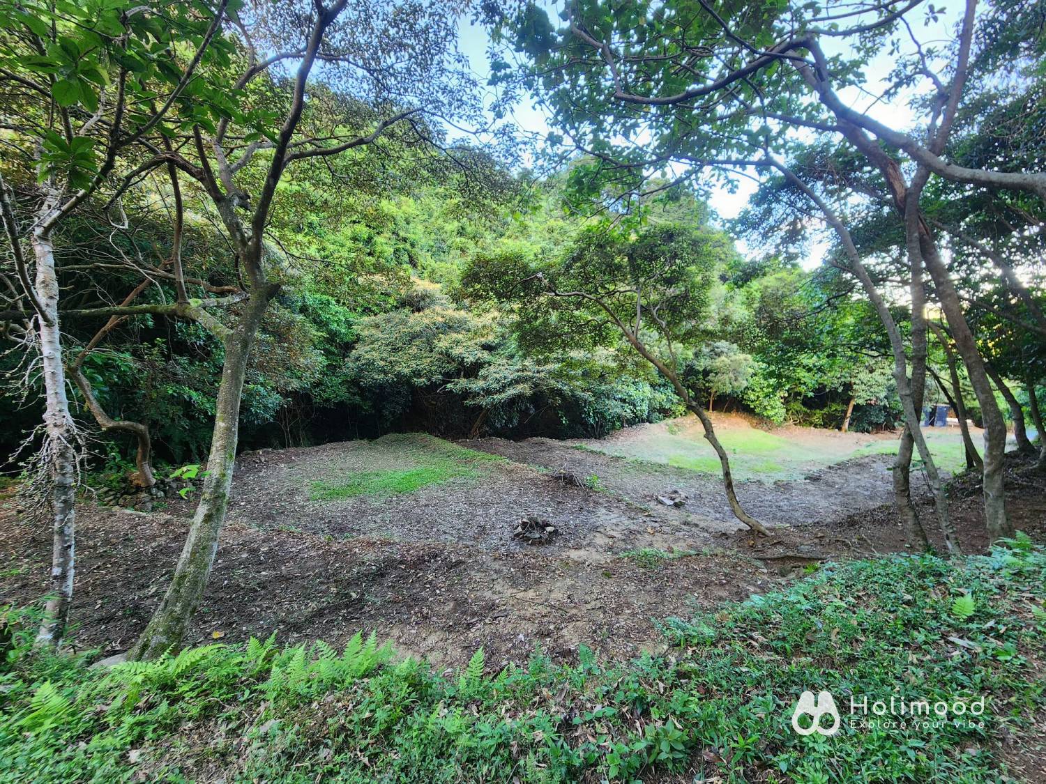 營喜野外露營場地 【深山系野外營區】自攜營帳體驗 - Zone A 野營區 (可自費攜帶寵物及進行營火體驗) 3