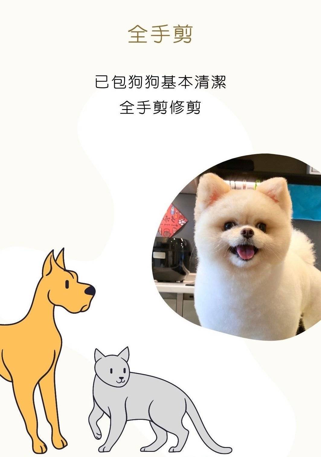 Patpetgrooming 全手剪造型 2