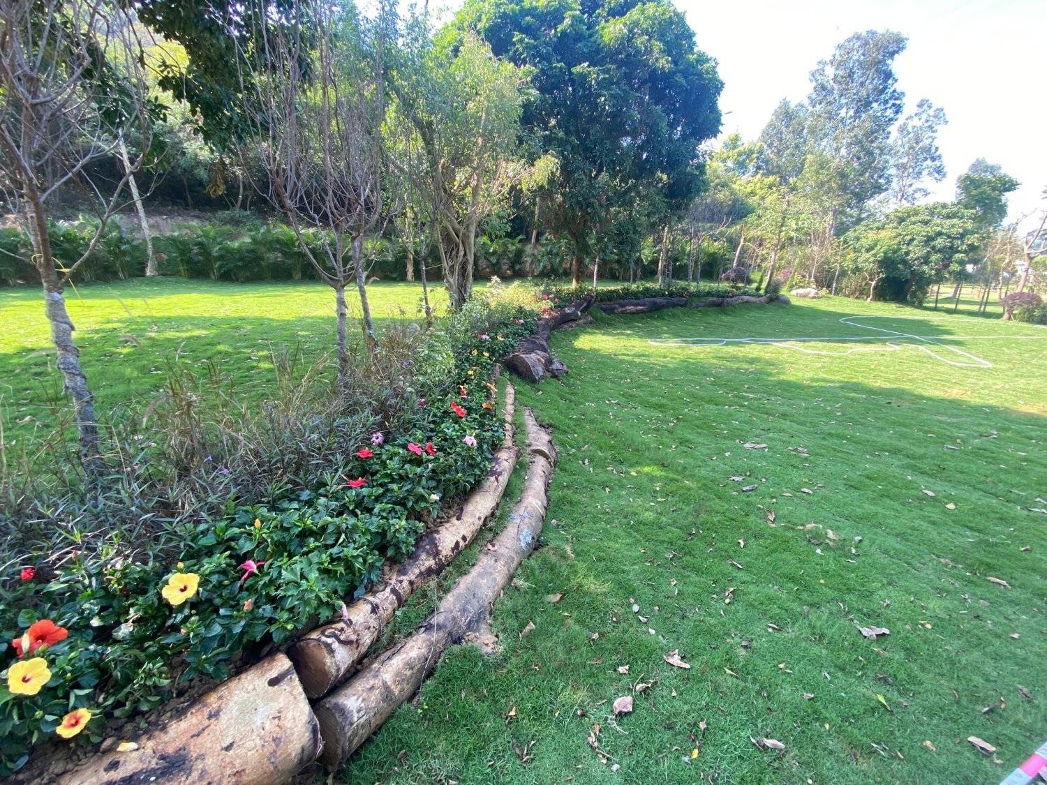 山林里農莊Forest Pathway | 錦田露營·寵物友善營區·巴士露營體驗 山林里農莊 (自攜營帳/租用營帳) 30