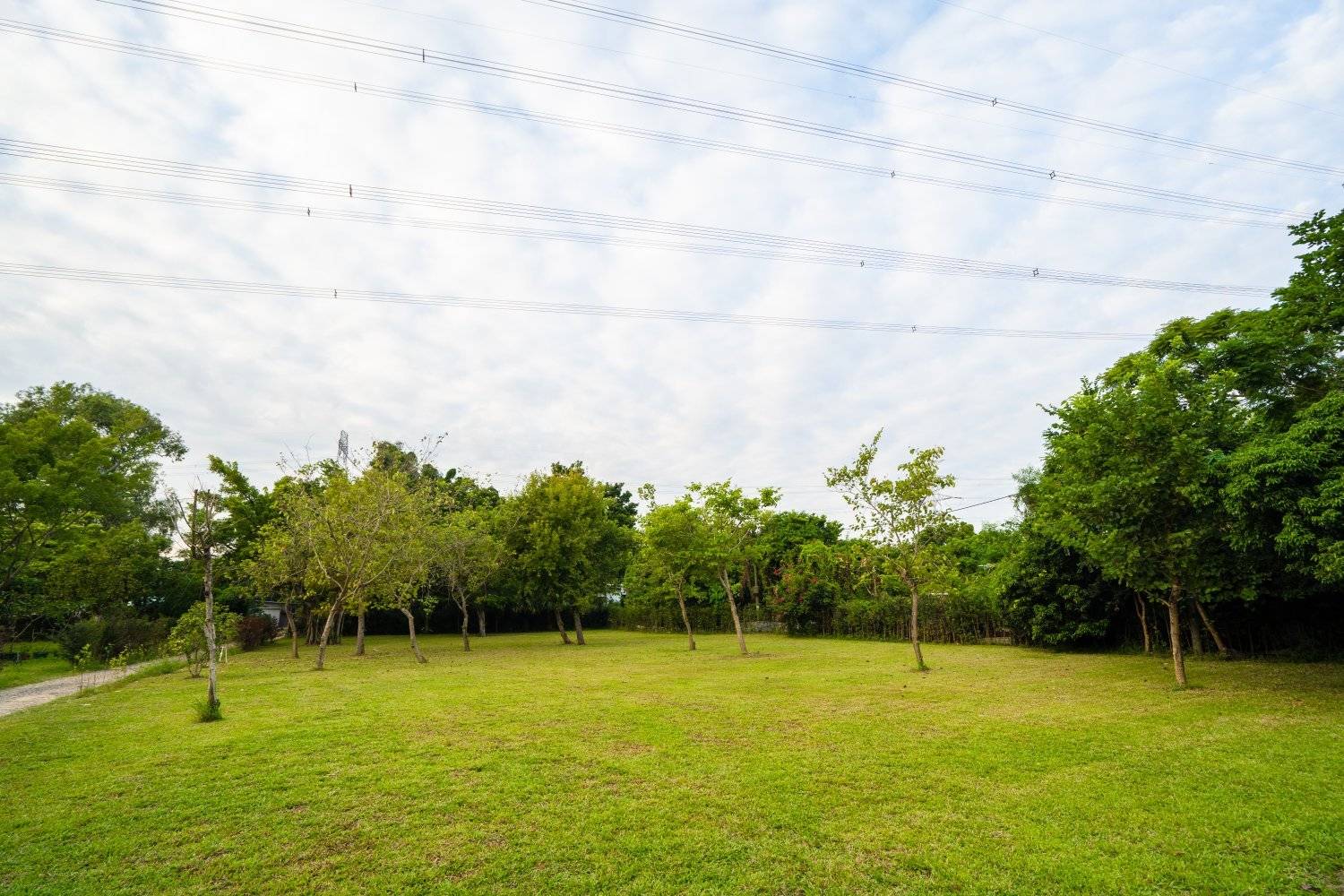 山林里農莊Forest Pathway | 錦田露營·寵物友善營區·巴士露營體驗 山林里農莊 (自攜營帳/租用營帳) 6