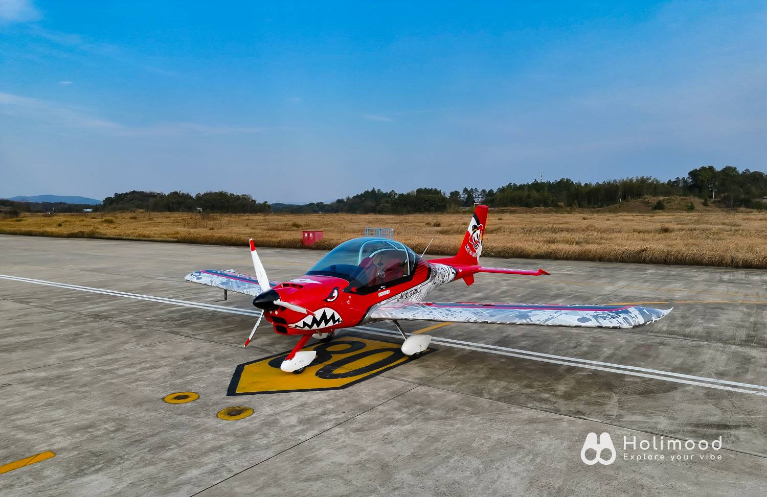 Monster Joker 【空中體驗遊】珠海飛機飛行體驗+飛行證書 13