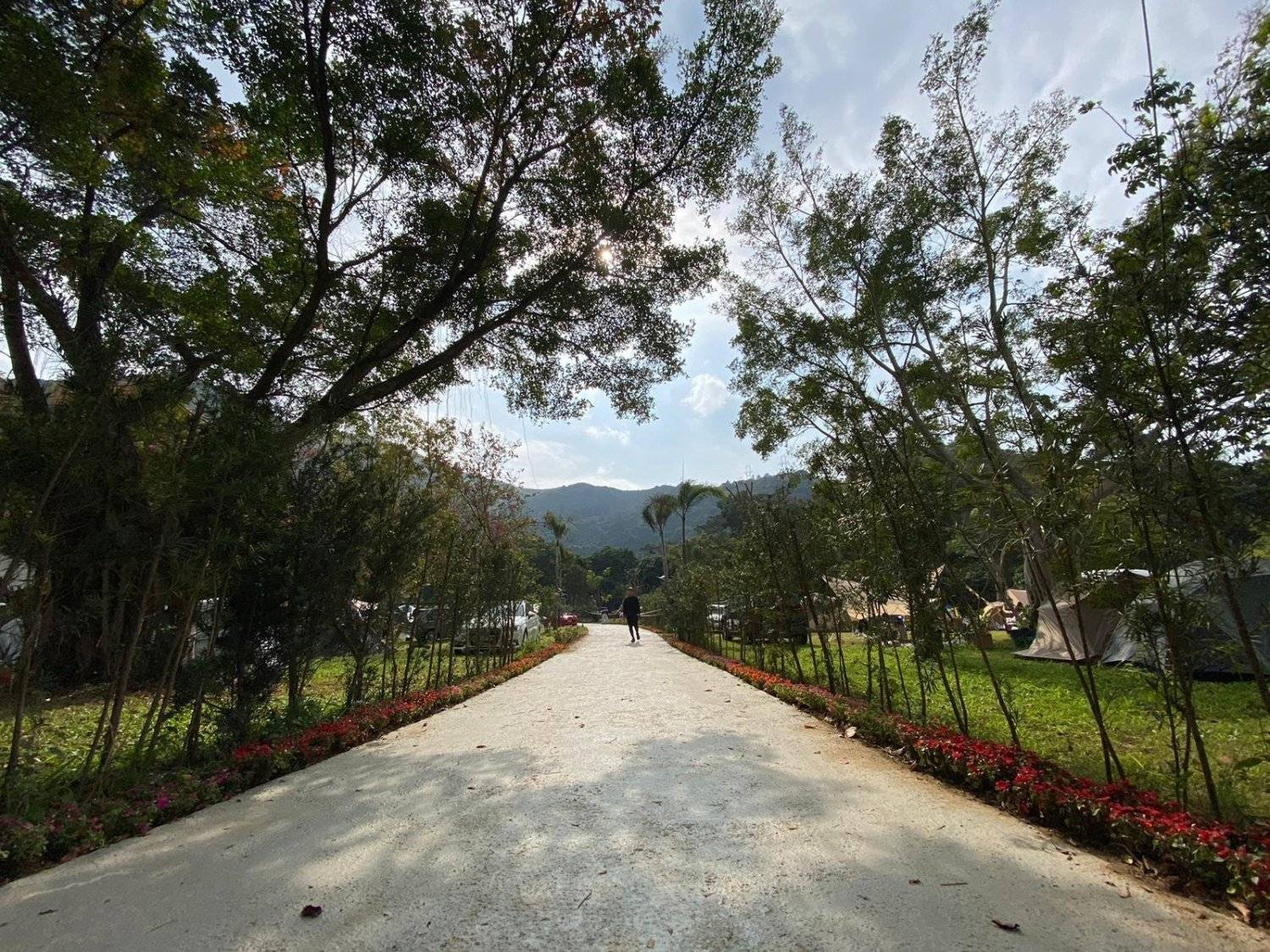 山林里農莊Forest Pathway | 錦田露營·寵物友善營區·巴士露營體驗 【山林里農莊巴士露營體驗】山林一泊兩食營 8