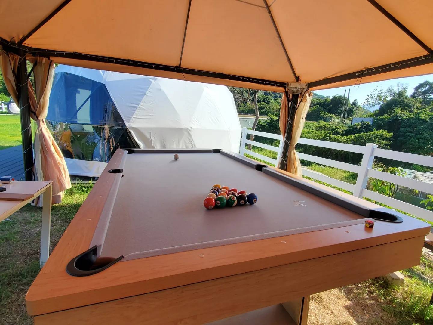 Xtivity 【貓巴士主題】任你玩日營+派對｜寵物友善｜親子好去處｜包場派對 8