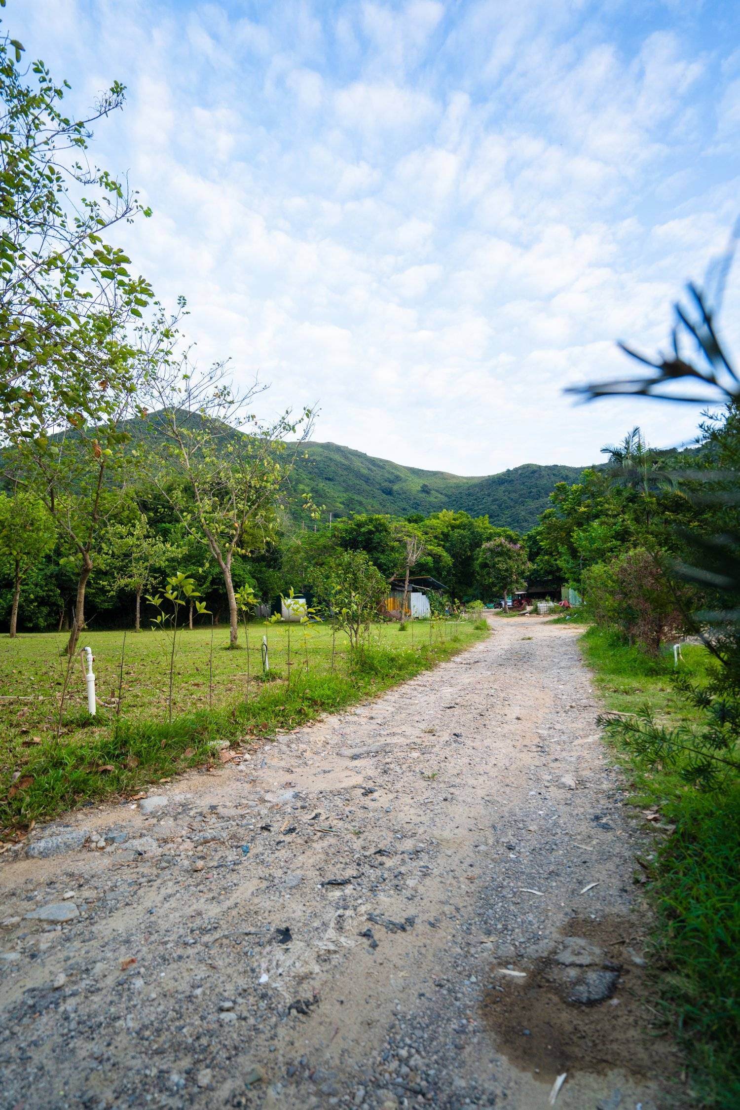 山林里農莊Forest Pathway | 錦田露營·寵物友善營區·巴士露營體驗 山林里農莊 (自攜營帳/租用營帳) 15