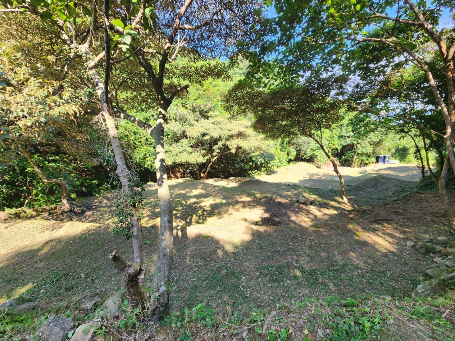 營喜野外露營場地 【深山系野外營區】自攜營帳體驗 - Zone A 野營區 (可自費攜帶寵物及進行營火體驗) 13