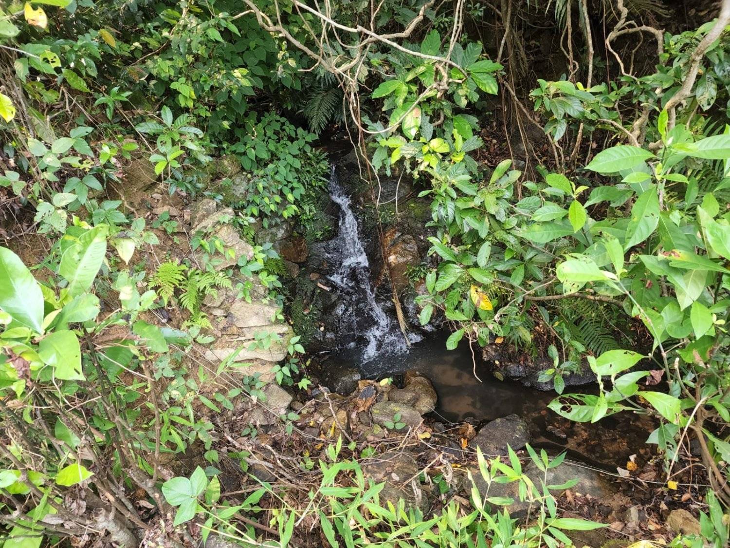 營喜野外露營場地 【深山系野外營區】自攜營帳體驗 - Zone A 野營區 (可自費攜帶寵物及進行營火體驗) 15