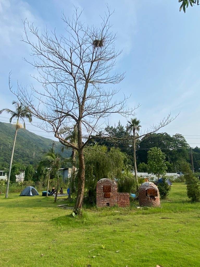 Forest Valley Land Forest Valley Car Camping/Camping (Bring Your Own Tent/Rent a Tent) 16