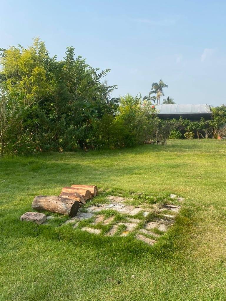 Forest Valley Land Forest Valley Car Camping/Camping (Bring Your Own Tent/Rent a Tent) 13